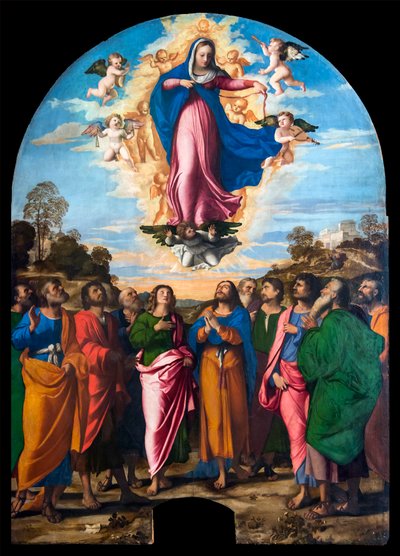 Assumption of the Virgin by Palma il Vecchio